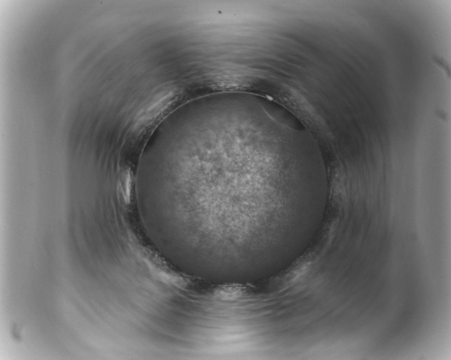 X0000100900076200807011230