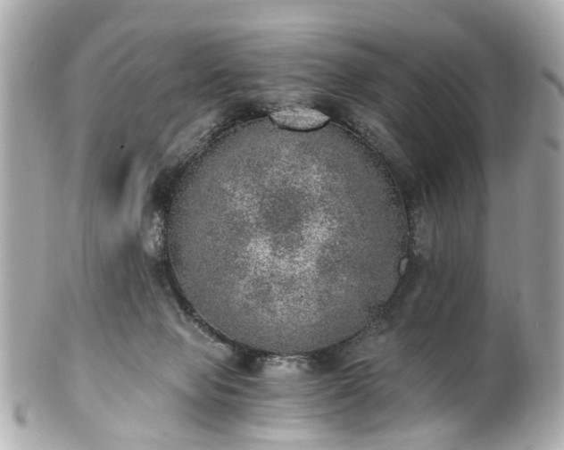 X0000100900077200807011230