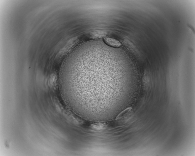 X0000100900079200807011230