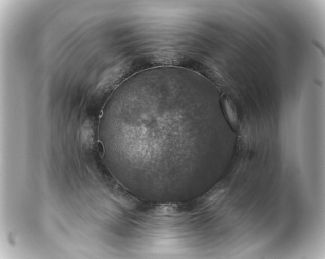 X0000100900080200807011230