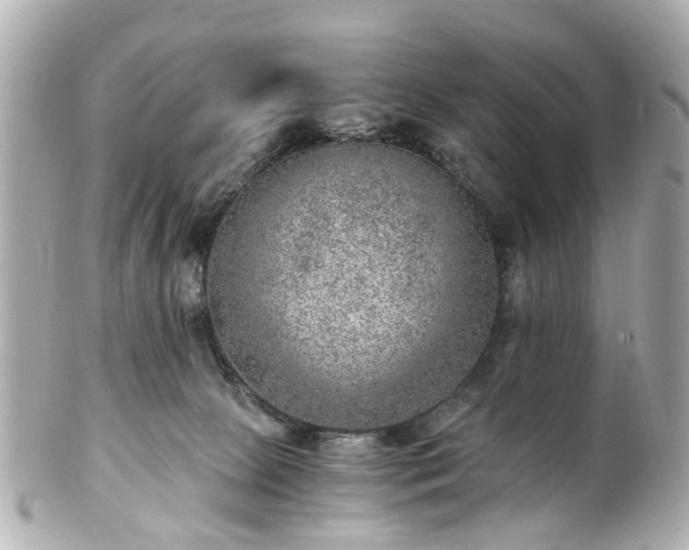 X0000100900081200807011230