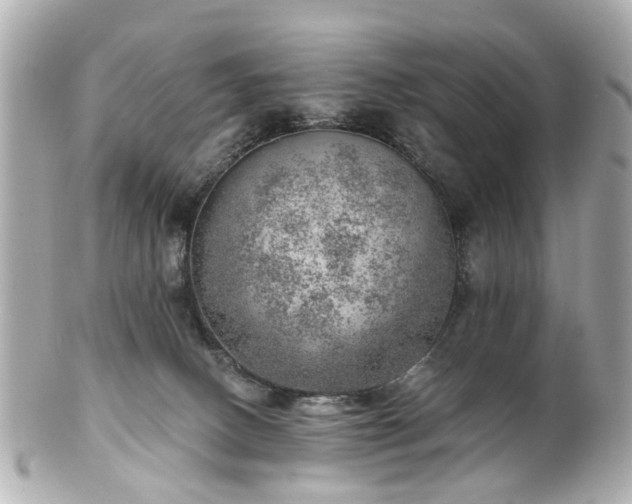 X0000100900082200807011230