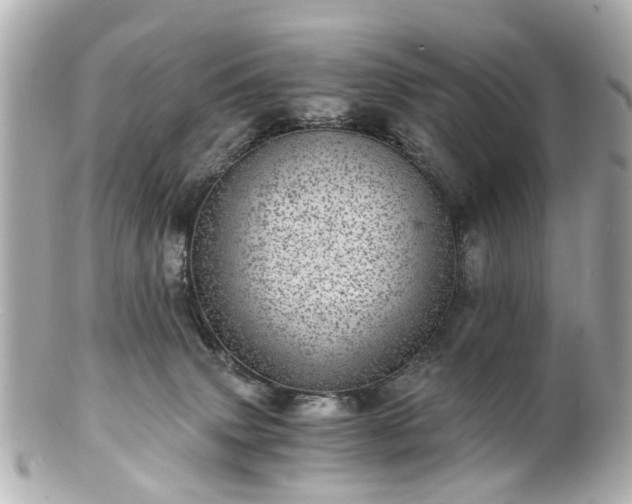 X0000100900083200807011230