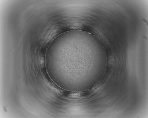 X0000100900084200807011230