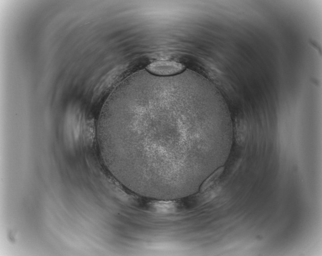 X0000100900085200807011230