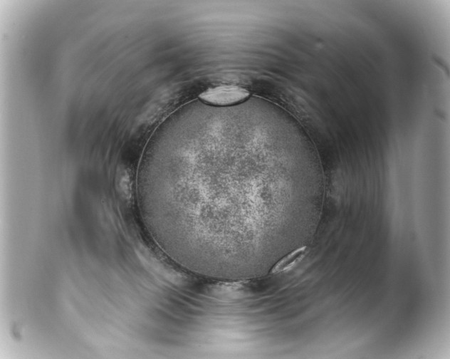 X0000100900086200807011230