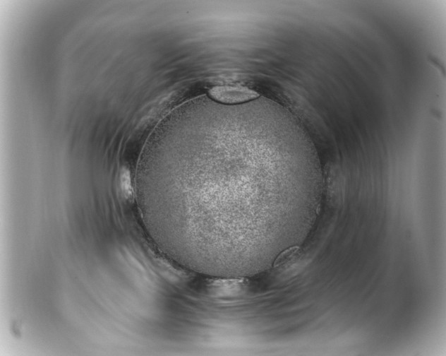 X0000100900089200807011230