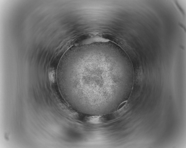 X0000100900090200807011230