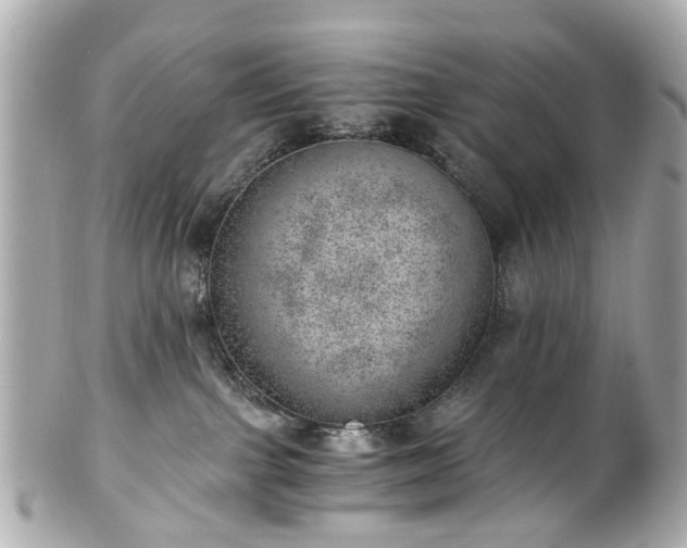 X0000100900091200807011230