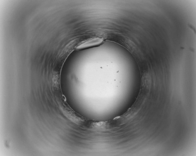 X0000100900092200807011230