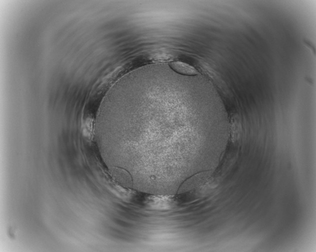 X0000100900093200807011230