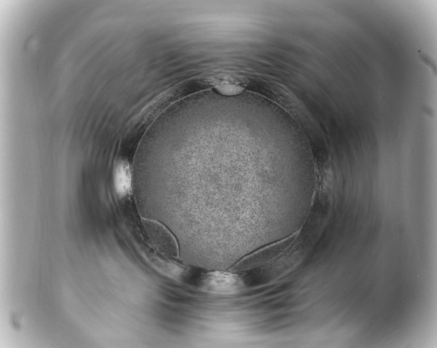 X0000100900095200807011230