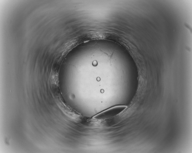 X0000100900096200807011230