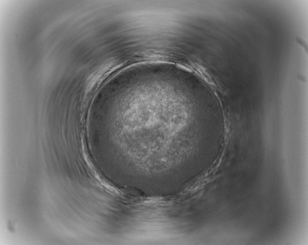 X0000100900097200807011230