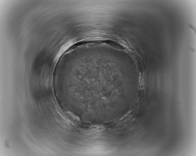 X0000100900099200807011230