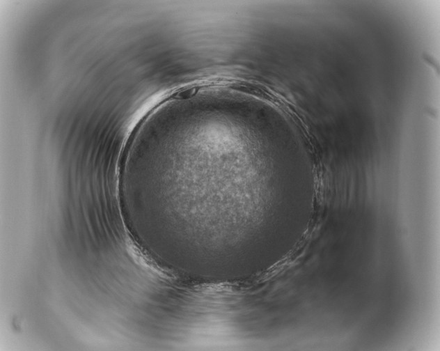 X0000100900100200807011230