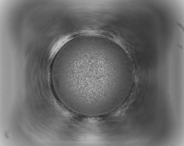 X0000100900103200807011230