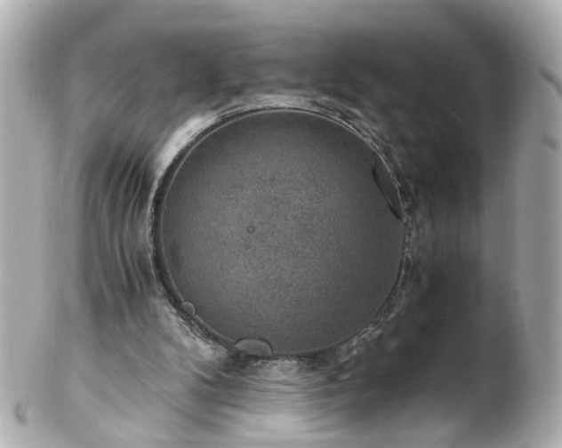 X0000100900104200807011230