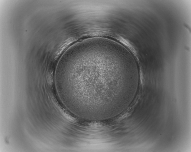 X0000100900105200807011230