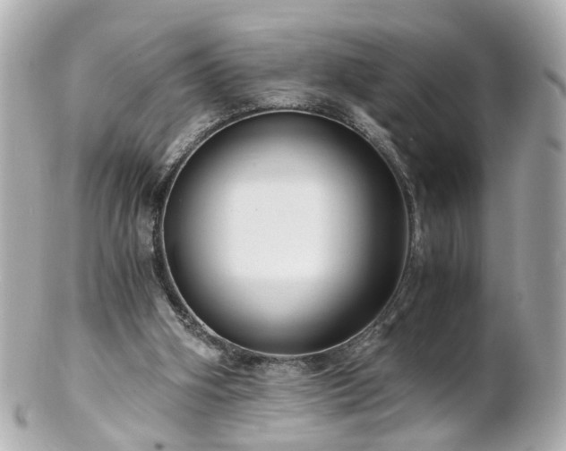 X0000100900106200807011230