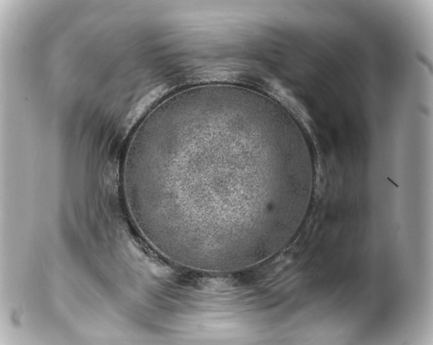 X0000100900107200807011230