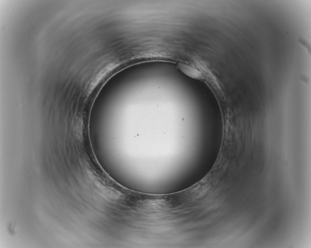 X0000100900108200807011229