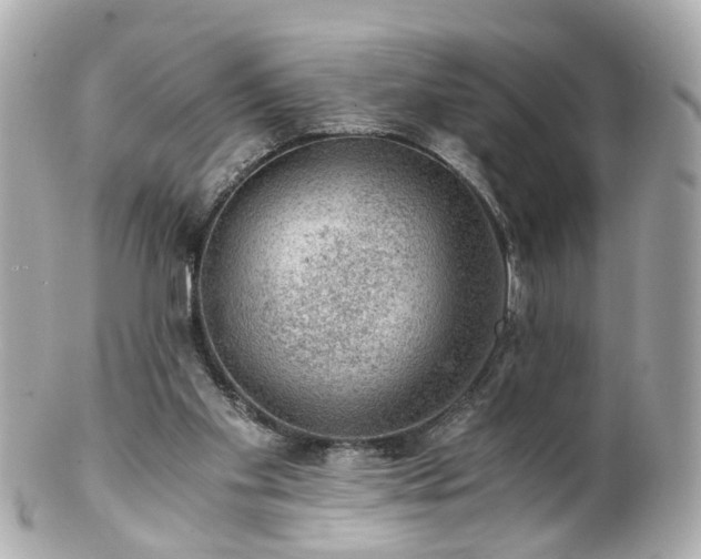 X0000100900109200807011229