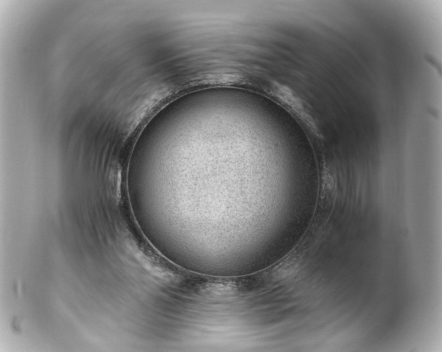 X0000100900110200807011229