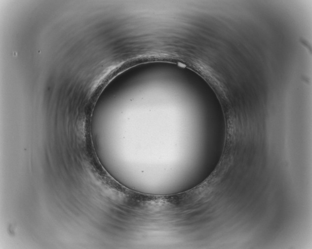 X0000100900112200807011229