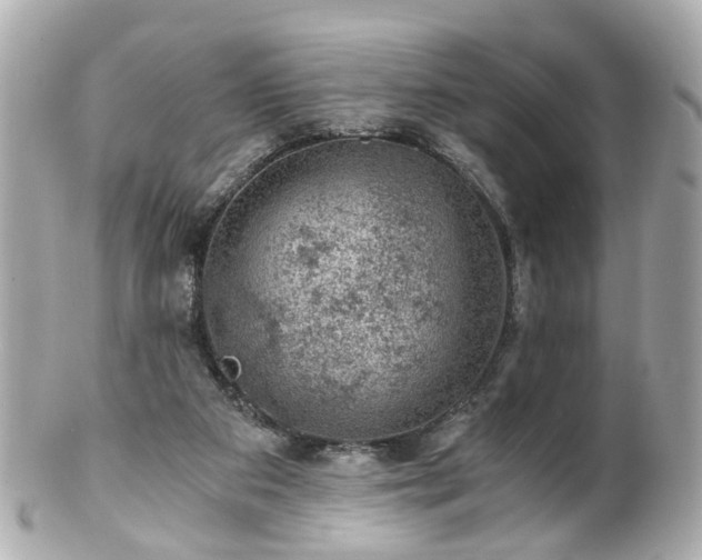 X0000100900113200807011229