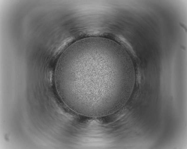 X0000100900115200807011229