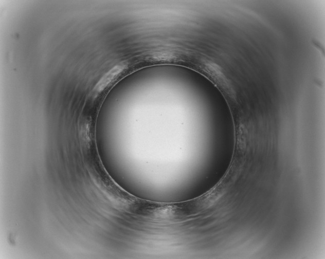 X0000100900116200807011229