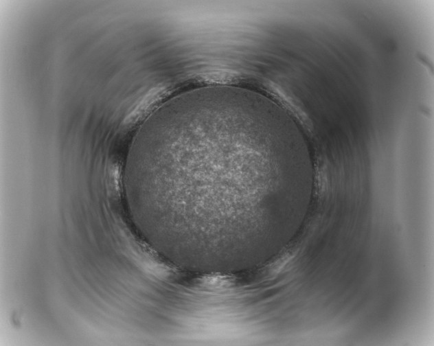 X0000100900117200807011229