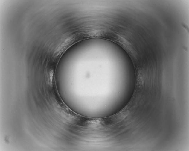 X0000100900118200807011229