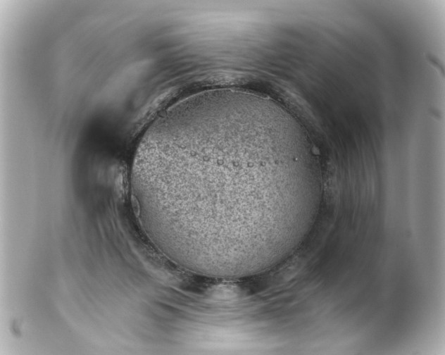 X0000100900119200807011229