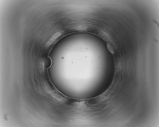 X0000100900120200807011229