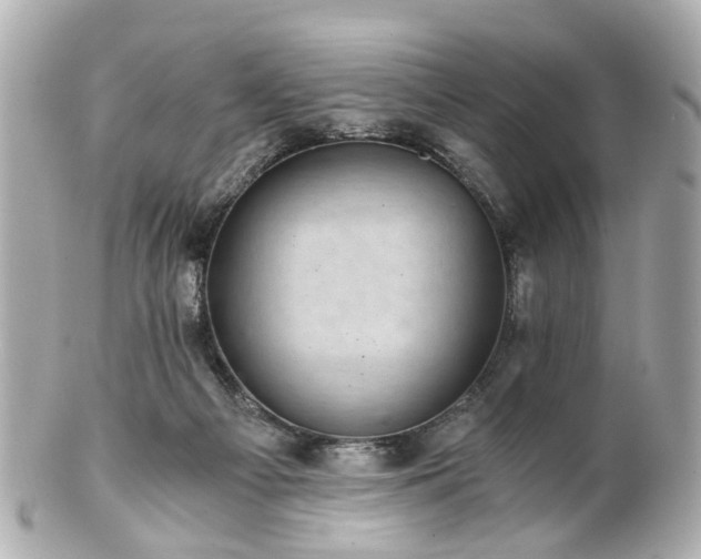 X0000100900121200807011229