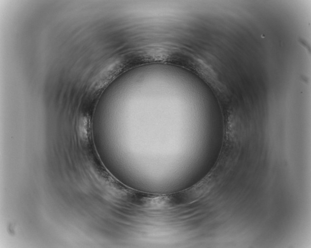 X0000100900122200807011229