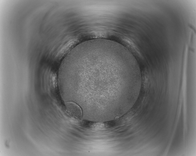 X0000100900123200807011229