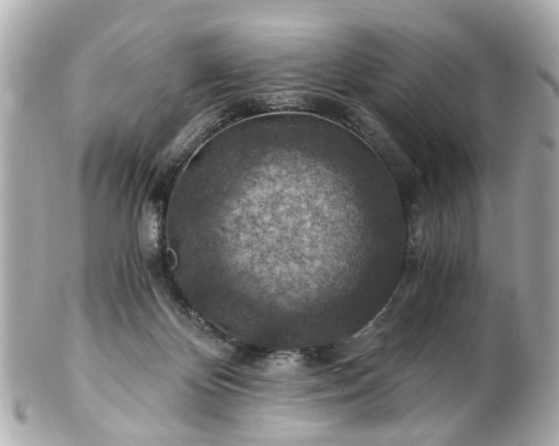 X0000100900124200807011229