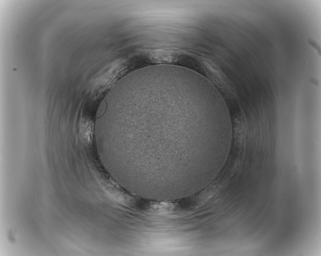 X0000100900125200807011229