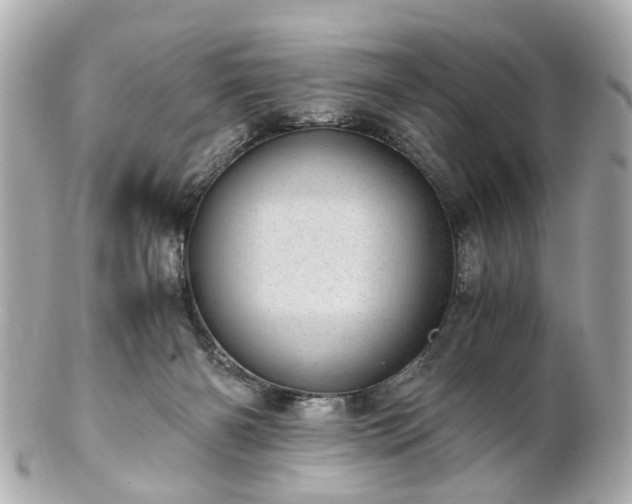 X0000100900126200807011229