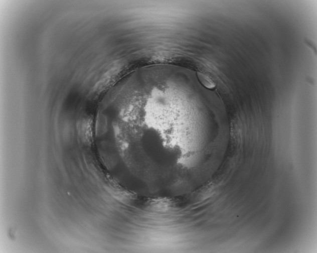 X0000100900127200807011229