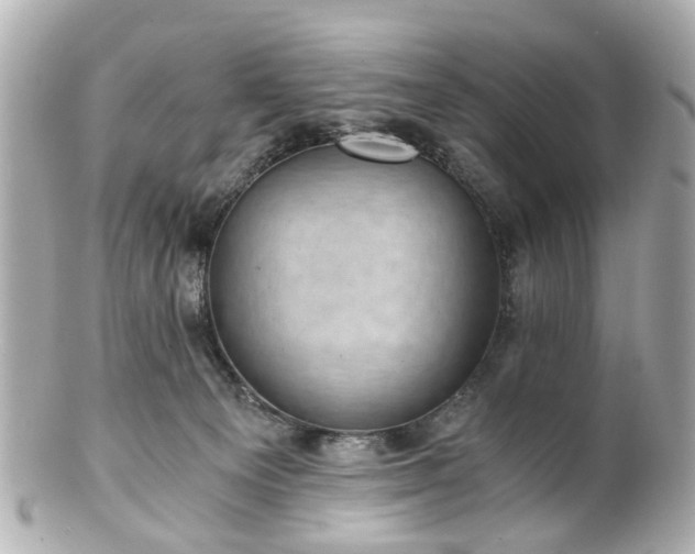 X0000100900129200807011229