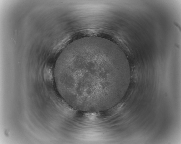 X0000100900131200807011229