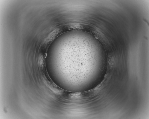 X0000100900132200807011229