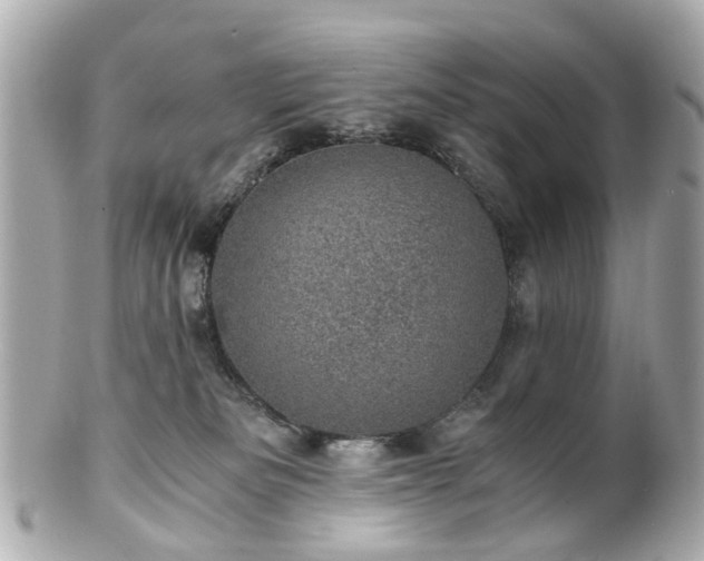 X0000100900133200807011229