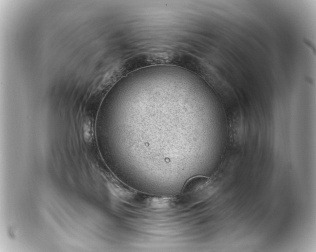 X0000100900134200807011229