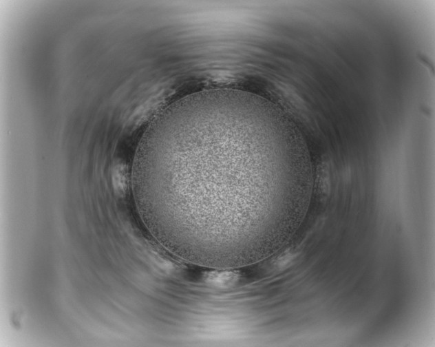 X0000100900135200807011229