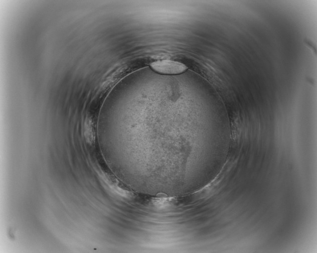 X0000100900136200807011229